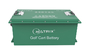 105Ah Lithium Ion Deep Cycle Battery 48V Golf Cart Batteries